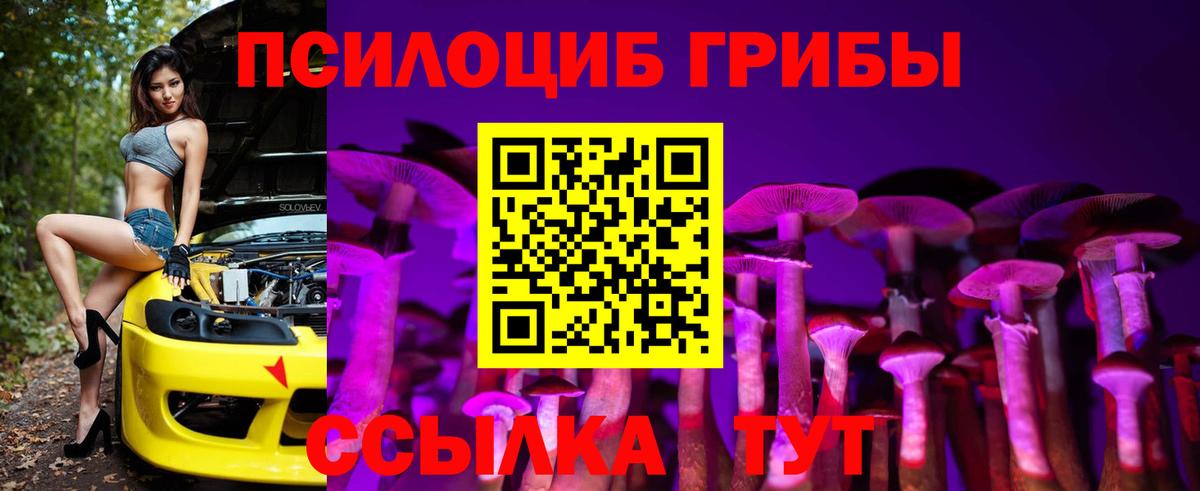 Карачаевск  сколько стоит  Вход с VPN  Галлюциногенные грибы Magic Shrooms 